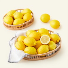 제이드가든 제주레몬, 1개, 5kg