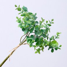 尤加利葉枝, 綠色混合, 3個