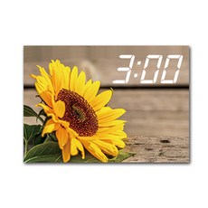 Homemine LED時鐘 帆布印刷畫框 向日葵 A3, 11