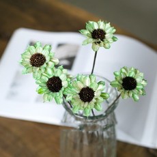 GAPANG 乾燥花 DRYB099, 08綠色