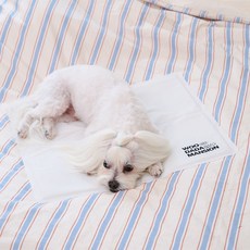 우다다맨숀 반려동물 냉감 쿨매트, 화이트, 1개