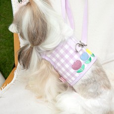 PASTEL PET 鬱金香刺繡寵物格紋胸背帶+牽線, 1套, 紫色