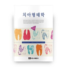 치아형태학 3판, 대한나래출판사