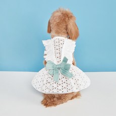 PASTEL PET 寵物鏤空蕾絲連身裙, 白色, 1個