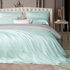 J-bedtime 床寢時光 素色天柔絲石墨烯雙人加大鋪棉兩用被床包組 SWMG0719L