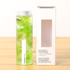 ROMANTIC NOVEMBER 浪漫無會員繡球花標本館永生花, 淺綠色