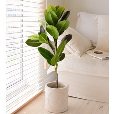 포플랜트 조화 고무나무 1100mm, 혼합색상, 1개