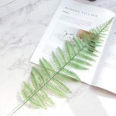 Store91尤加利葉拍攝道具 B, 混合顏色, 1個