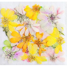 乾燥壓花, 混色