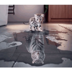 루시앤에밀리 보석십자수 구슬 비즈 DIY 키트, BelieveinYourself, 1개