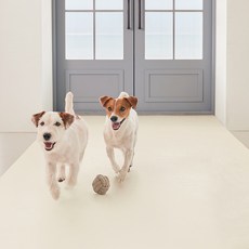 에코폼 강아지 미끄럼방지 롤 매트, 심플크림, 1개