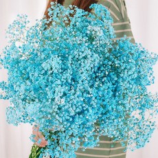 Sonio大容量口氣保鮮花花束, 03藍星