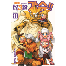 魔法少年賈修 完全版, 第 11 卷, 大元 C.I.