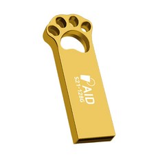 에이드 USB 메모리 골드 S21, 128GB, 1개