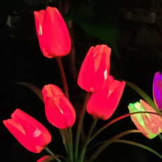 Lena Energy LED 太陽能植物花人造花庭園燈照明鬱金香, 彩虹