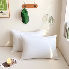 SOHEIM 可機洗日常枕芯, 白色, 2個