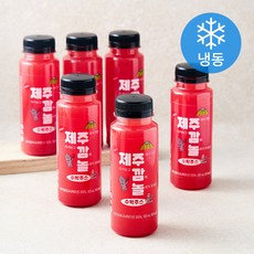 제주깜놀 수박주스 (냉동), 6개, 180ml