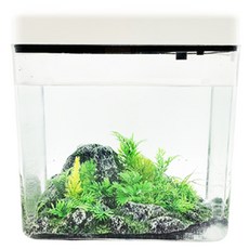 Rora Pet LED方形魚缸+裝飾水生植物 2入, 隨機發貨