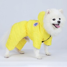 PASTEL PET 狗狗鮮豔連帽鋪棉連身衣, 1個, 黃色