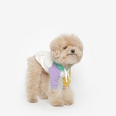 TUSTUS 狗狗拼色連帽T恤, 1個, 混合顏色