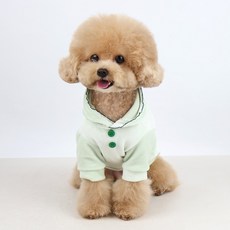 Grooming Dog 寵物雙鈕扣天鵝絨連帽T恤, 1個, 薄荷綠