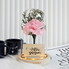 Thelimekorea 簡約康乃馨玻璃罩, 粉紅色