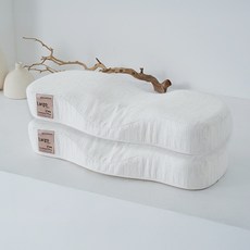 가누다 골드라벨 라르고 경추베개, 화이트, 2개