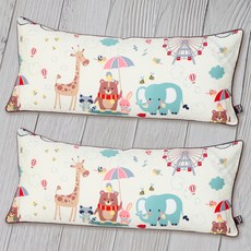 와이즈마마 순면 경추마이크로화이버 유아베개 2p, 애니월드