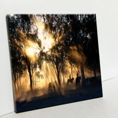 HTP 磁磚 夕陽下的牛仔們 C2913