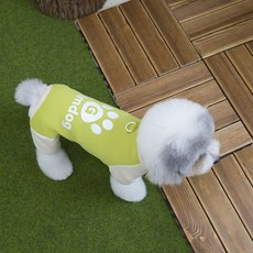 Coco studio 寵物刷毛Coco胸背帶 Glamdog訓練連身衣, 1個, 綠色