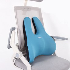 今日 6D 新一代護腰辦公室靠背墊, 藍色