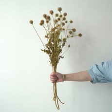 GAPANG 乾花 DRYB087, 黃色數字 06