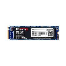 패스트로 NVMe SSD, MS100, 256GB