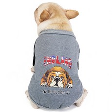 韓星國度 鬥牛犬英倫風快穿毛衣, 灰色, 1個