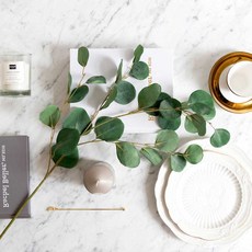 法式尤加利長莖葉, 混合色, 1個