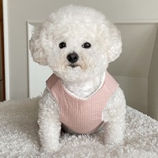 BYDAMSOOMI 小狗毛茸茸的 baeja, 粉色的