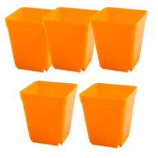 오늘도양 플라스틱 모종 화분 5p, 오렌지
