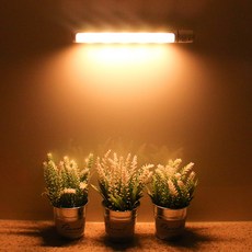 Homejarang LED無線多功能感應燈, 燈泡色, 1個