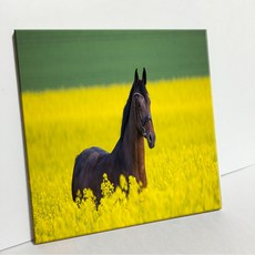 UDP 磁磚畫框 A型 3888661, 白色素面磁磚底