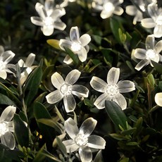 Quardi LED燈串 春櫻常亮 3m 20燈, Clova White, 1個