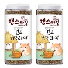 햄스타일 햄스터 앤 고슴도치 영양간식 건조 귀뚜라미, 140g, 2개