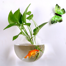 Roy 家居裝飾道具 壁掛式花盆 大長頸花瓶, 單一顏色