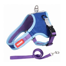 앤티스 반려동물 스웨이트 하네스 S + 리드줄, 블루, 1세트