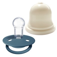 BIBS 디럭스 실리콘 공갈젖꼭지 + 실리벨 케이스, 신생아~36개월, 22 페트롤, 1세트