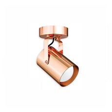빅토리라이트 레일조명 직부형 원통레일등 PAR30 로즈골드, 1개, 1개