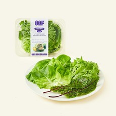 원에이커팜 무농약 인증 쏘렐믹스, 100g, 1개, 1개입