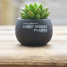 마크하스 통기성 시멘트 화분 좁은타원형, 혼합색상