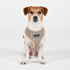 퍼피아 강아지 루카스 사이즈 조절 하네스 A HA2093, 베이지, 1개