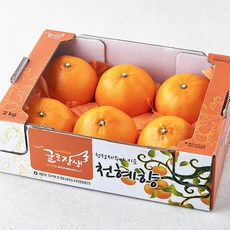 제주 위미농협 당도선별 천혜향, 2kg(대과, 4~6입), 1개