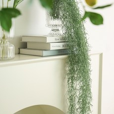 Flouse302 人造懸掛植物 空氣鳳梨, 綠色